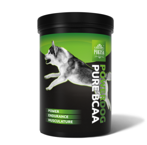 bcaa-podcien-624x617.png