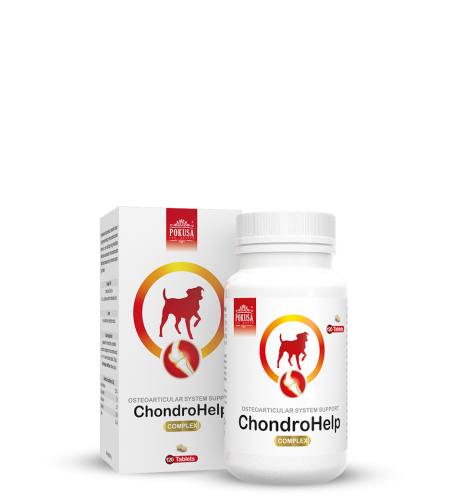chondrohelp.jpg