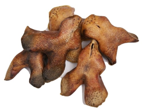nosek-wolowy.jpg